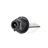 D2S HIDBulbs 5500k (pair)
